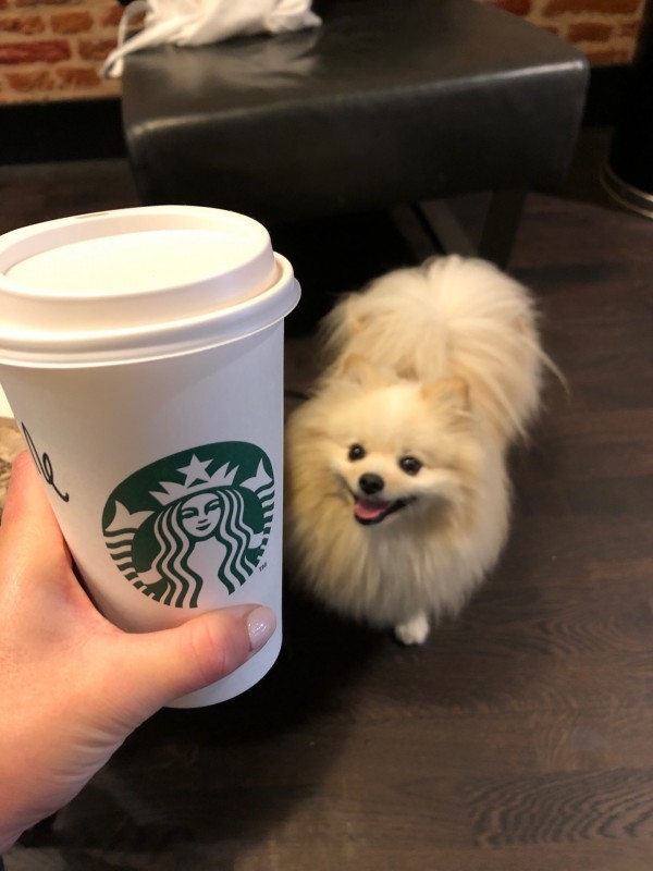 Où trouver un lieu sympa et branché pour prendre un bon café ?