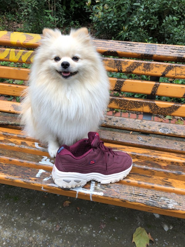 Acheter une paire de sketchers à Lille près de Villeneuve d’Ascq